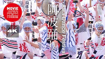 徳島　阿波踊り