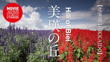 北海道　美瑛の丘