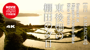 山口　東後畑の棚田の夕日