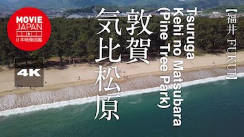 福井　敦賀　気比松原