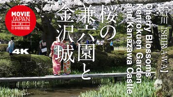 金沢　桜の兼六園と金沢城