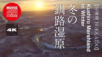 北海道　雪の釧路湿原とSL
