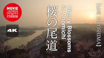 広島　桜の尾道