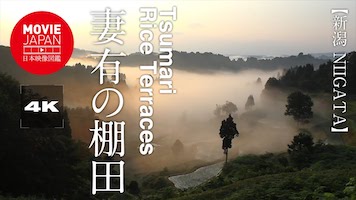 新潟　妻有の棚田