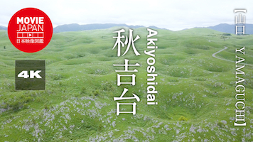 山口　秋吉台