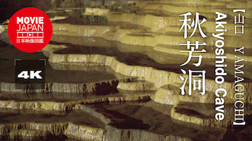 山口　秋芳洞