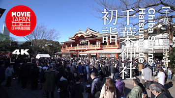 千葉神社　初詣