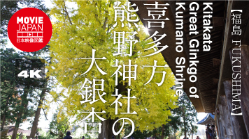 福島　喜多方　熊野神社の大銀杏