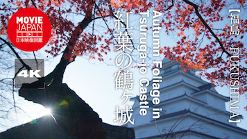 福島　会津　紅葉の鶴ヶ城