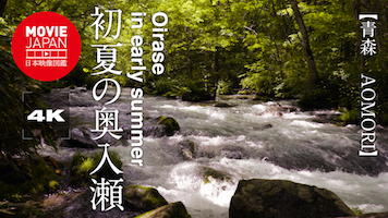 青森　初夏の奥入瀬