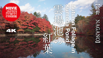 軽井沢　雲場池の紅葉