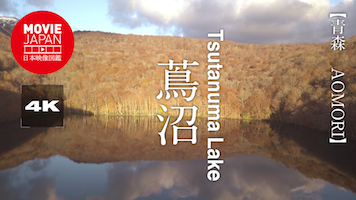 青森　蔦沼の紅葉