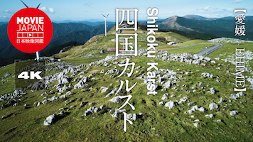 愛媛　四国カルスト