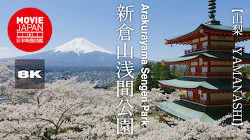 山梨　富士吉田　新倉山浅間公園　五重塔と富士山