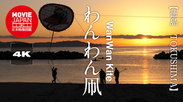 徳島　わんわん凧