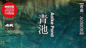 青森　世界遺産　白神山地　青池