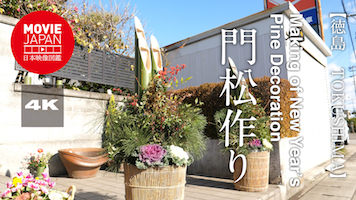 徳島　門松作り