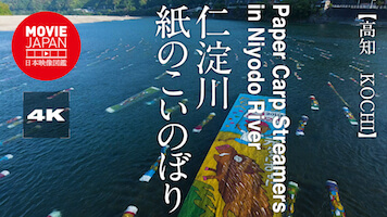 高知　仁淀川　紙のこいのぼり