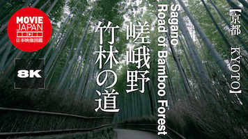 京都　嵯峨野　竹林の道