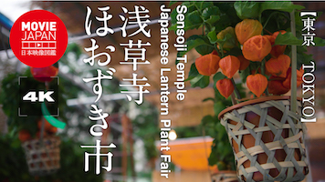 東京　浅草寺ほおずき市