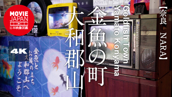 奈良　金魚の町　大和郡山