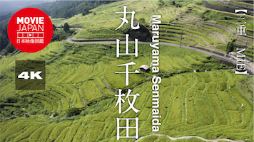 三重　丸山千枚田