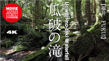 福井　瓜破の滝