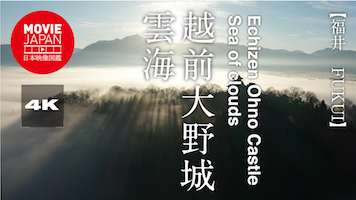 福井　越前大野城　雲海