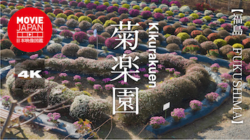 福島　菊楽園