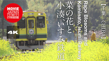 千葉　房総　菜の花と小湊、いすみ鉄道