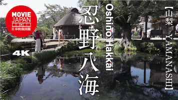 山梨　忍野八海