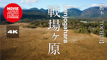 栃木　奥日光　戦場ヶ原