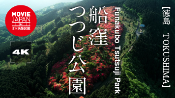 徳島　船窪つつじ公園