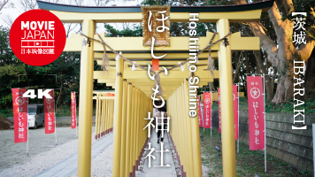 茨城　ほしいも神社