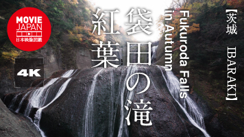 茨城　袋田の滝 紅葉