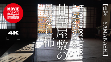 山梨　甘草屋敷の吊るし柿