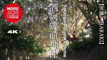 茨城　酒列磯前神社
