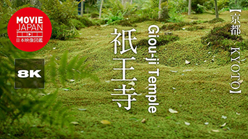京都　祇王寺　苔寺