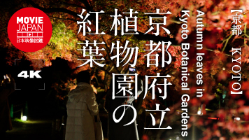 京都府立植物園の紅葉