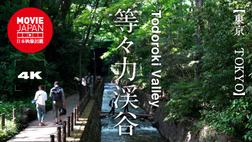 東京　等々力渓谷