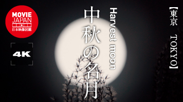 中秋の名月
