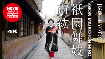 祇園舞妓　市紘