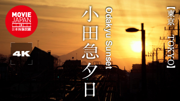 東京　小田急夕日