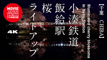 千葉　房総　小湊鉄道飯給駅　桜ライトアップ