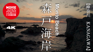 神奈川　葉山　森戸海岸