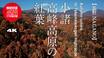 小諸　高峰高原の紅葉